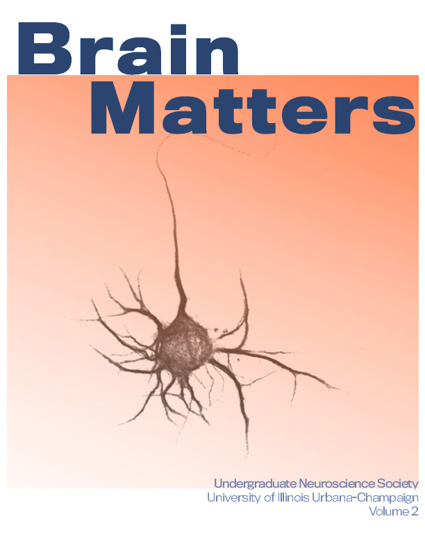 Cover of Brain Matters Volume 2. Orange background with illustration of neuron in black in foreground.
